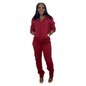 Hooded Long Sleeve Zipper Top And Pants Athletic Two-Piece Set