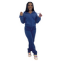 Hooded Long Sleeve Zipper Top And Pants Athletic Two-Piece Set